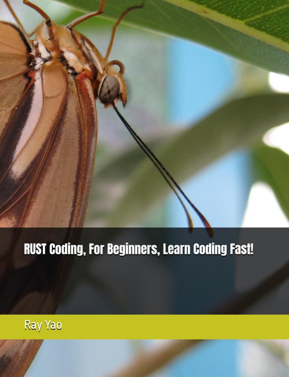RUST in 8 Hours, For Beginners, Learn Coding Fast! baixar livro de graça