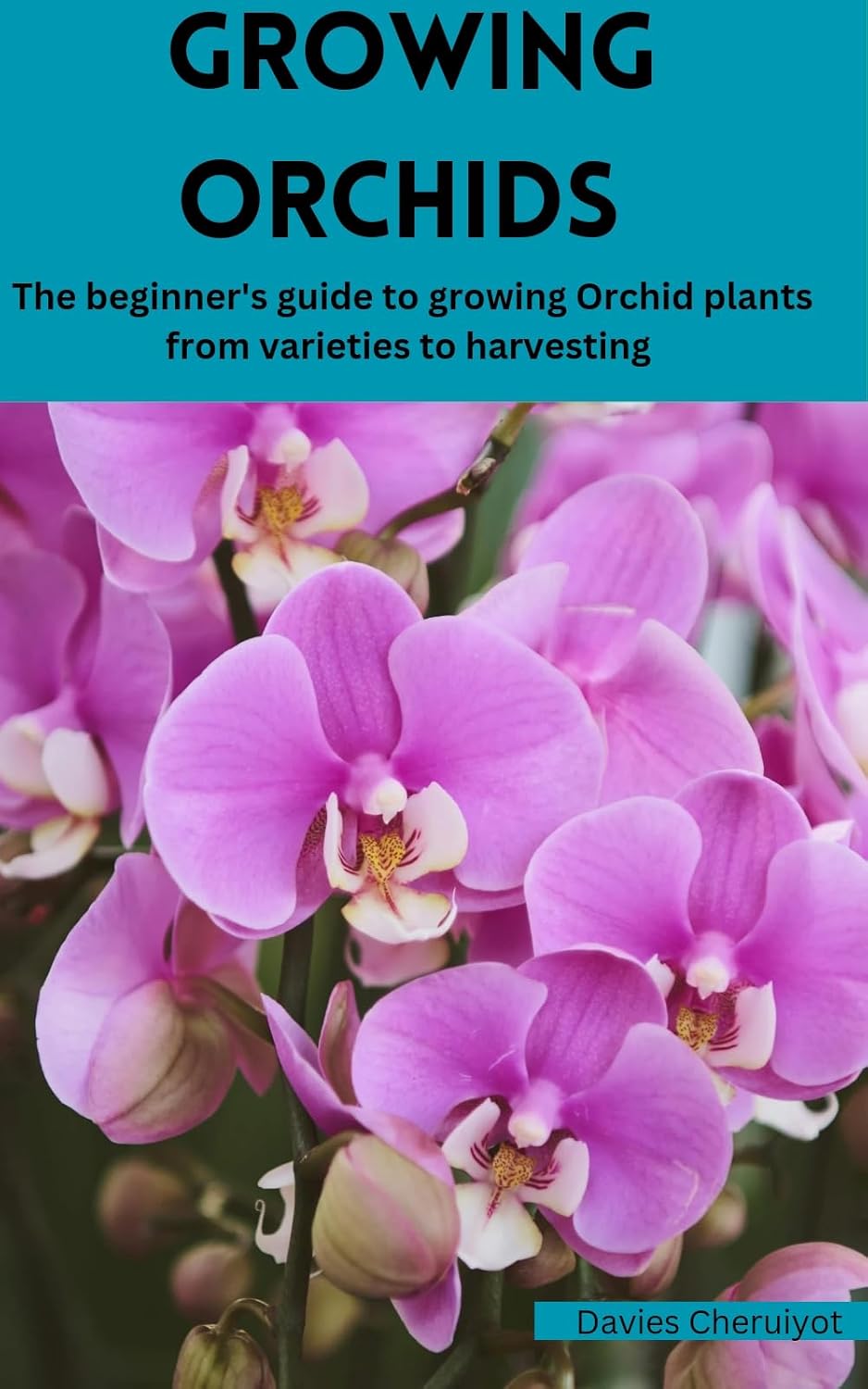GROWING ORCHIDS: The beginner's guide to growing Orchid plants from varieties to harvesting (Flowers) (English Edition) baixar o livro de graça