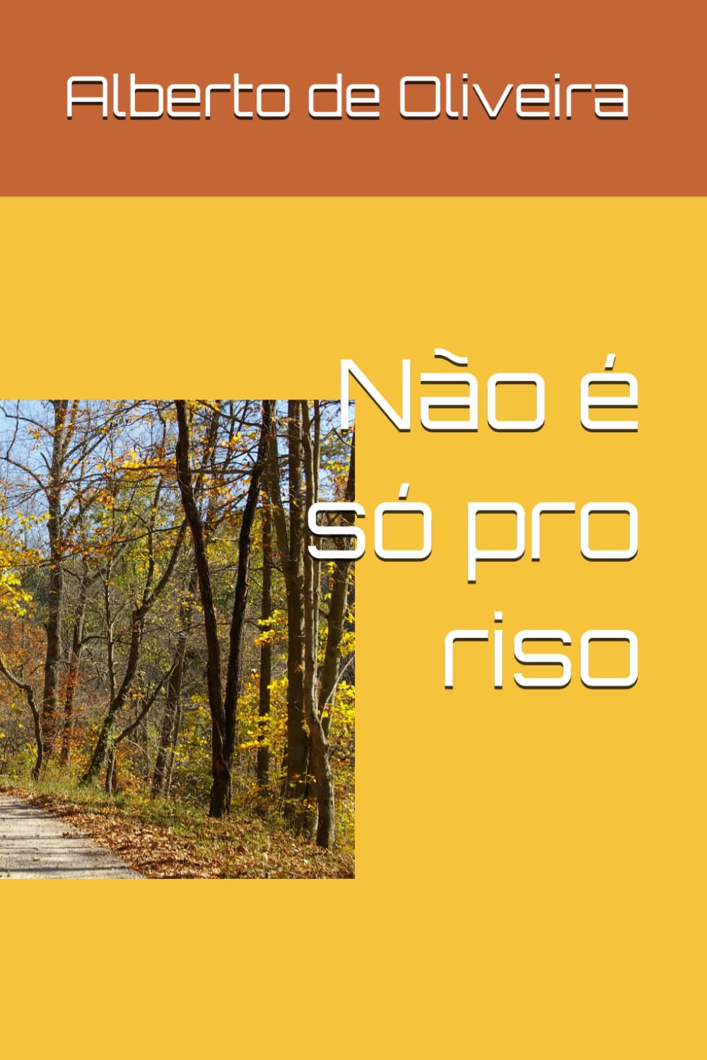 Não é só pro riso (Portuguese Edition) baixar o livro de graça