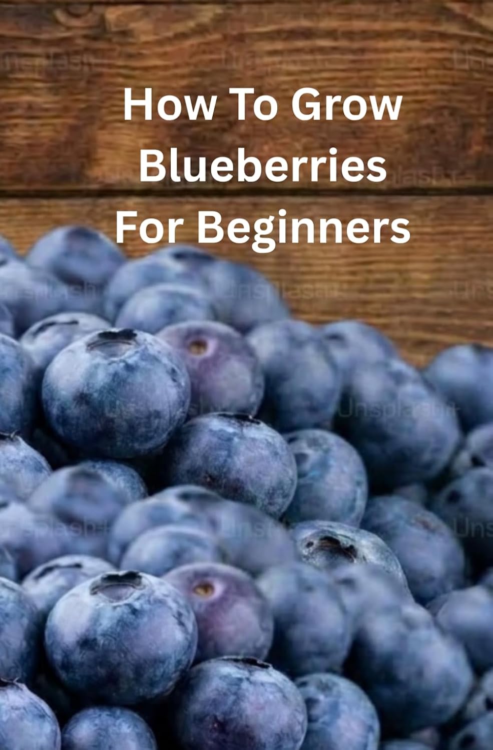 ler totalmente How to Grow Blueberries for Beginners: The Step-by-Step Guide to Growing, Maintaining, and Propagating Healthy Blueberry Plants for Reliable Home Harvests