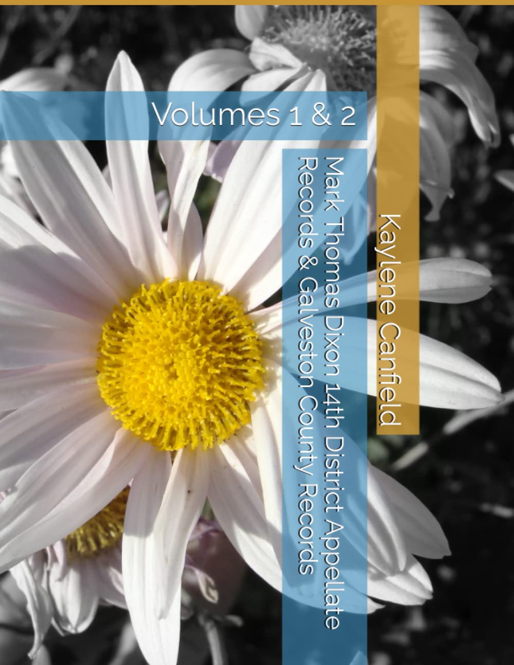 Mark Thomas Dixon 14th District Appellate Records & Galveston County Records: Volumes 1 & 2 (Mark Thomas Dixon, Galveston County Trial Transcripts 97-CR-0950) baixar livro de graça