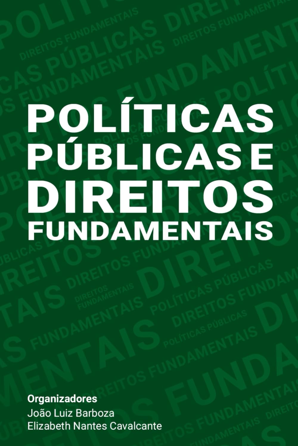 capítulo por capítulo baixar Políticas Públicas e Direitos Fundamentais (Portuguese Edition)