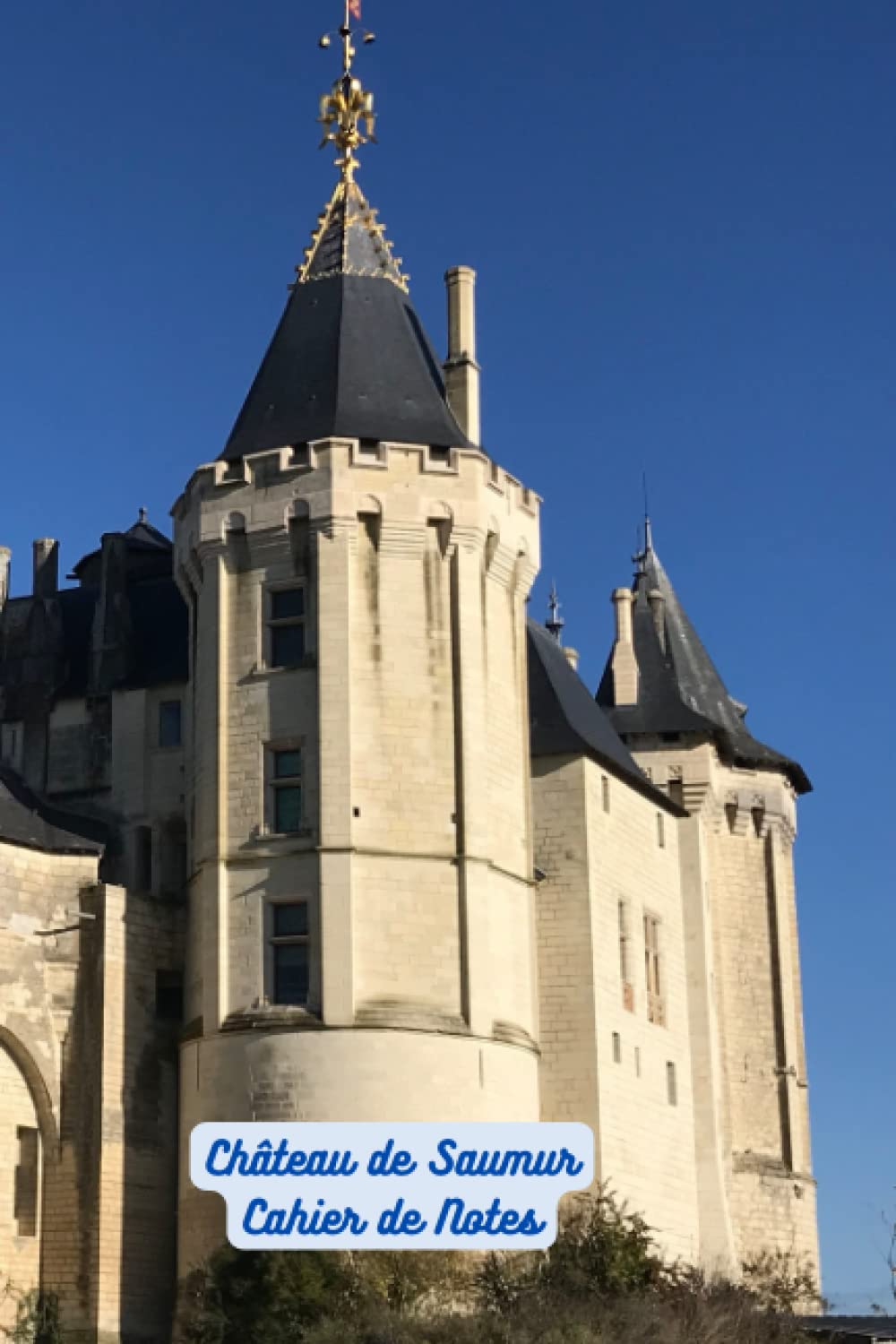 Château de Saumur Cahier de Notes (French Edition) baixar o livro de graça