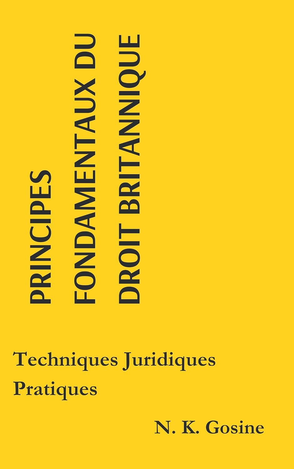 ler totalmente L'essentiel du droit britannique - Techniques juridiques pratiques (French Edition)