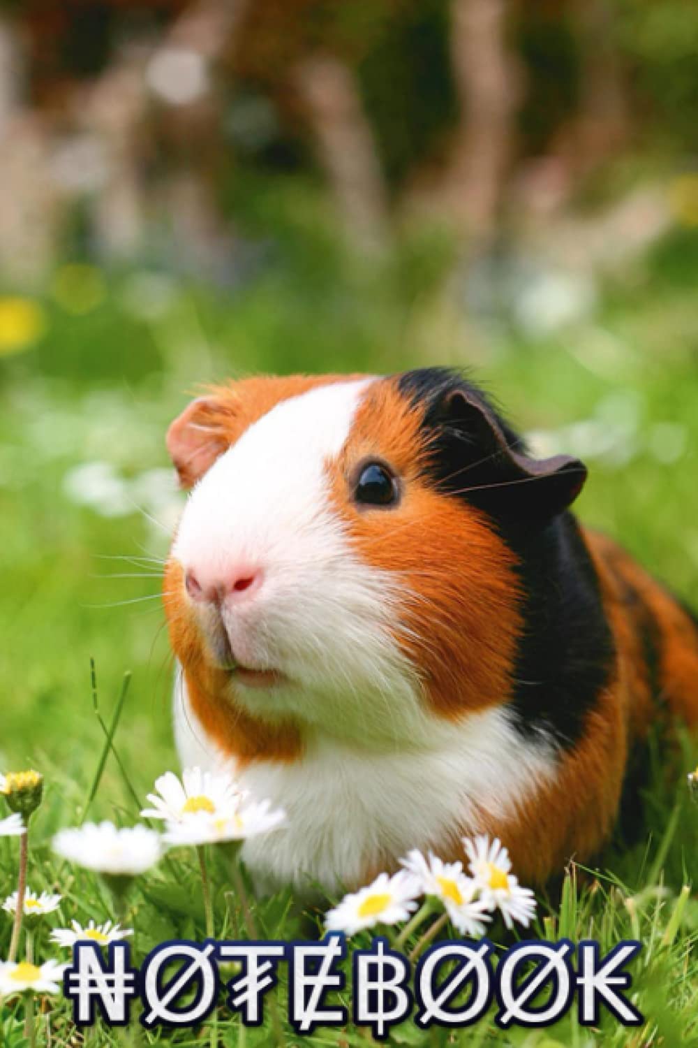 Notebook: Guinea Pig Notebook / Scholl Notebook / Writing / Planning,Great for Note-taking #90 baixar o livro de graça