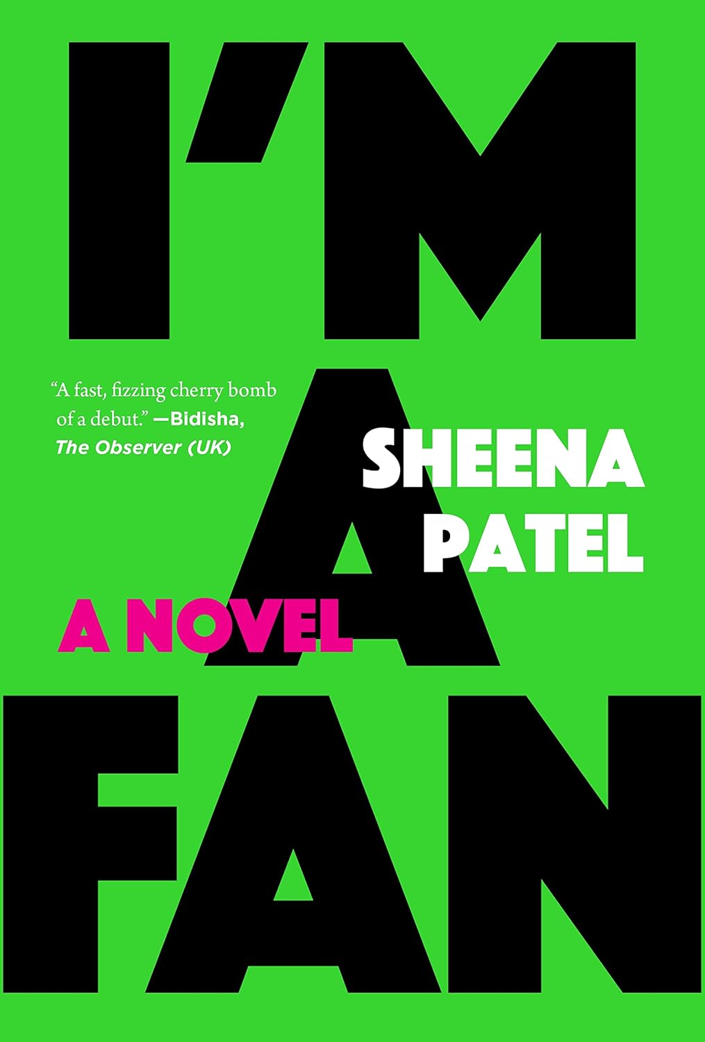 I'm a Fan: A Novel baixar o livro de graça