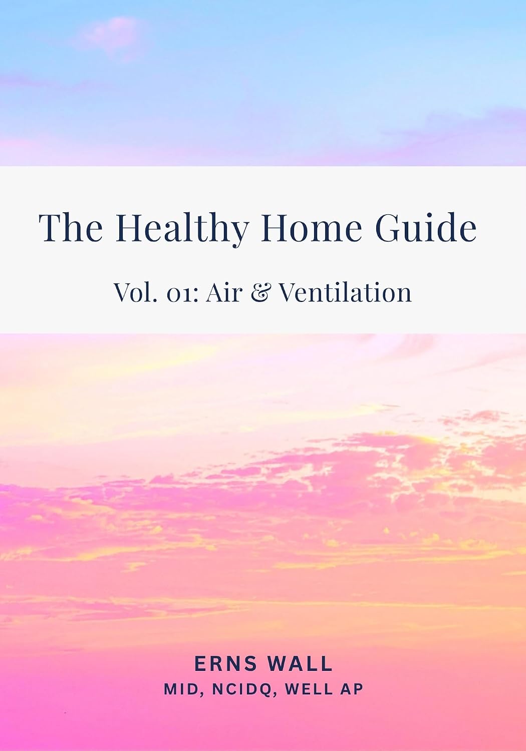 The Healthy Home Guide: Volume 01: Air & Ventilation (English Edition) baixar o livro de graça