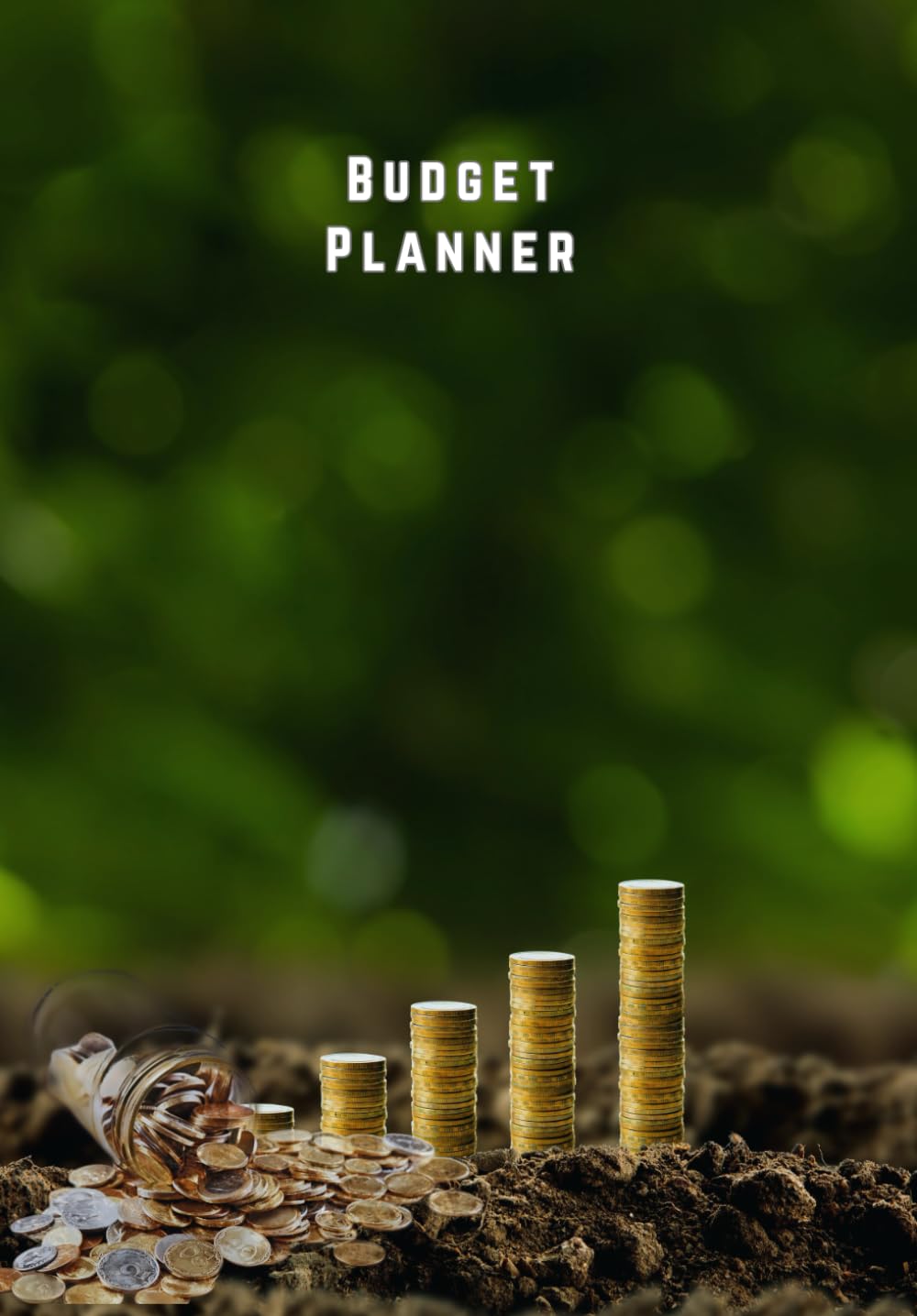 Budget Planner: Helps Keep Track of Your Money baixar livro de graça