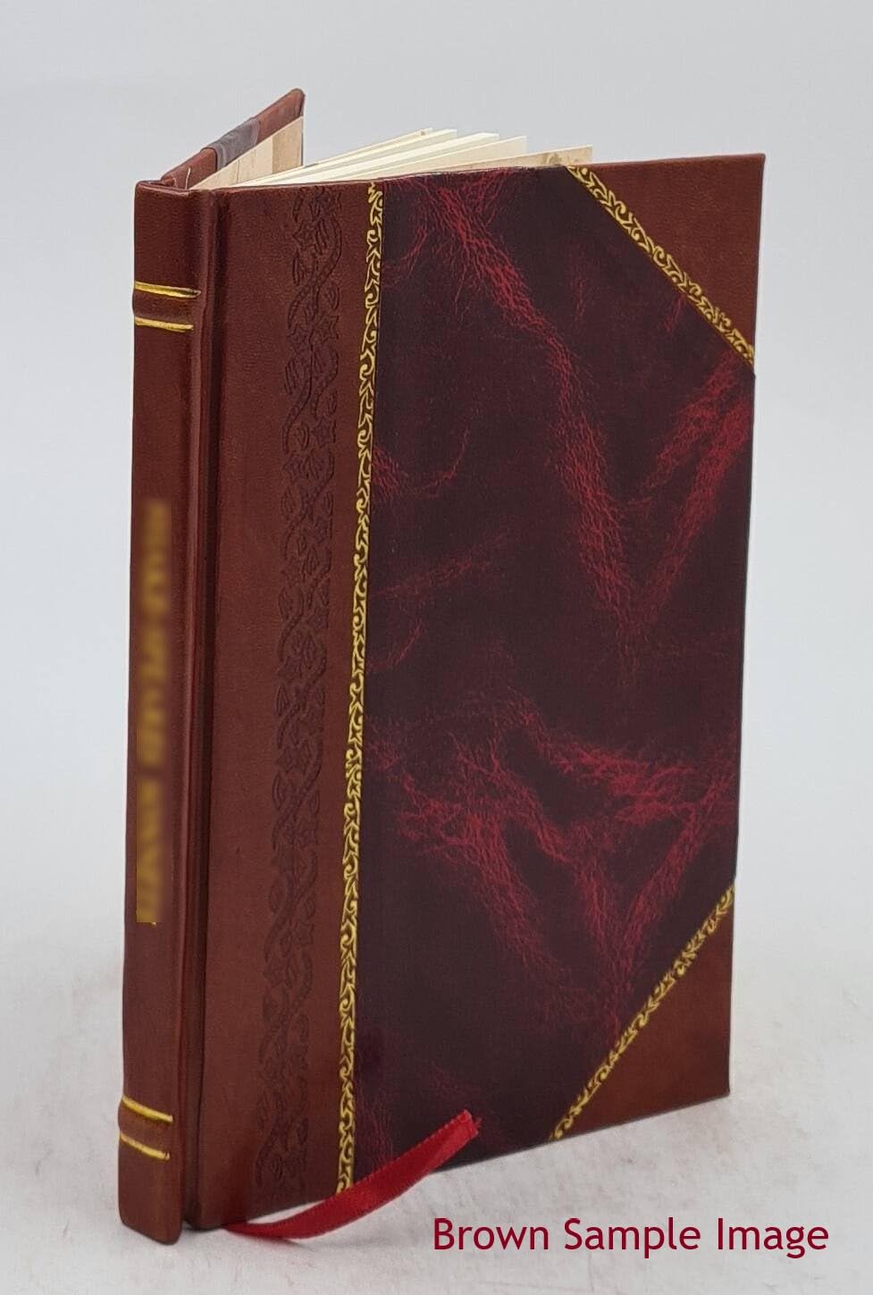 Bases do contracto definitivo para o fornecimento de energia electrica á Camara Municipal de Coimbra pela Companhia Nacional de Viação e Electricidade com sede em L 1920 [Leather Bound] baixar o livro de graça