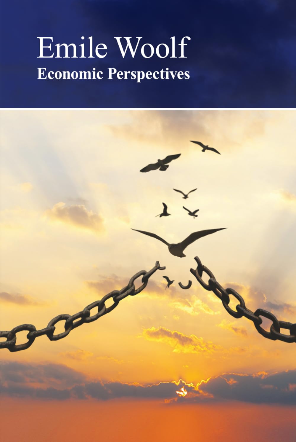 ler totalmente Economic Perspectives: How the state gets it wrong... again and again!