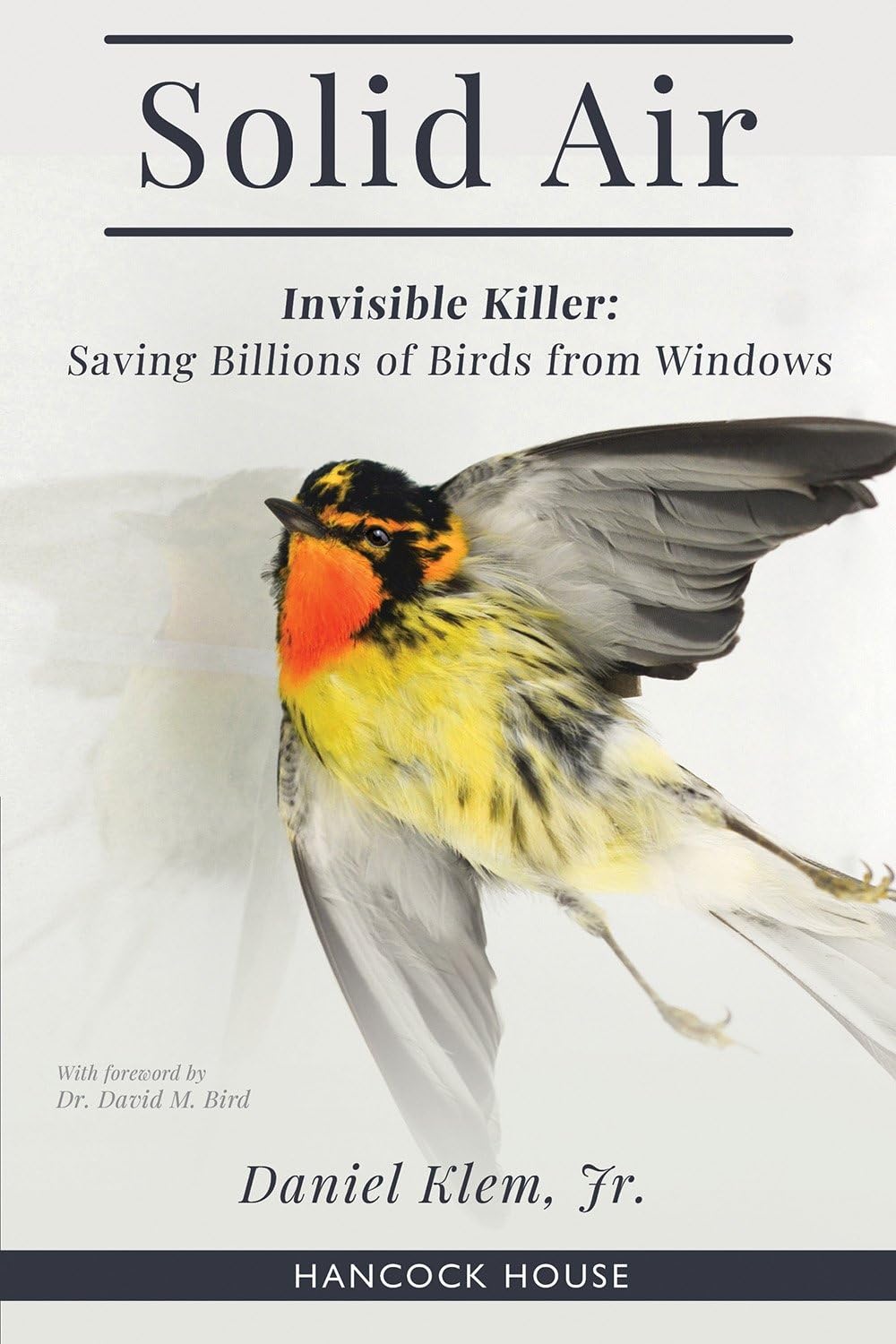 Solid Air: Invisible Killer- Saving Birds from Windows baixar o livro de graça