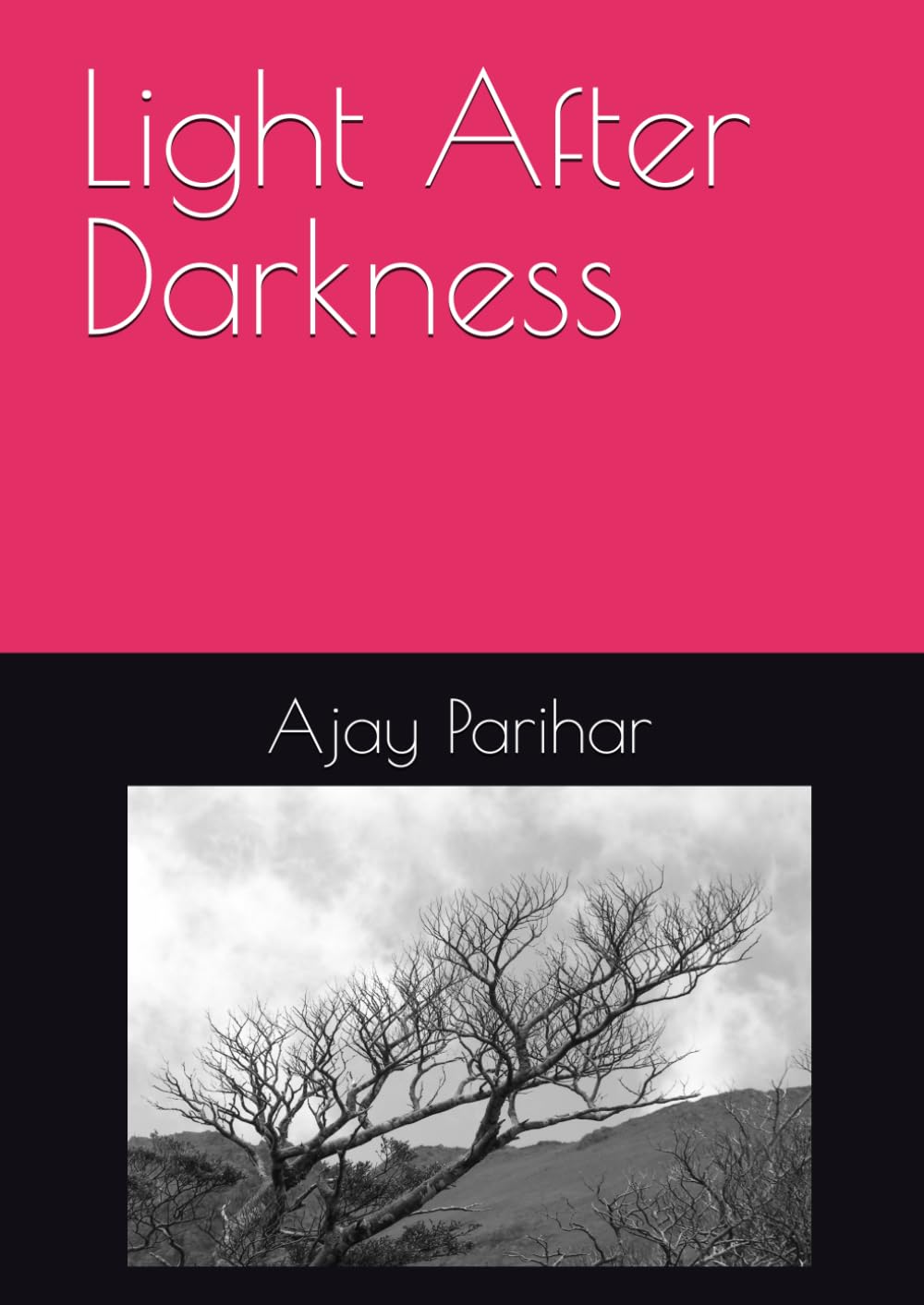 ler totalmente Light After Darkness