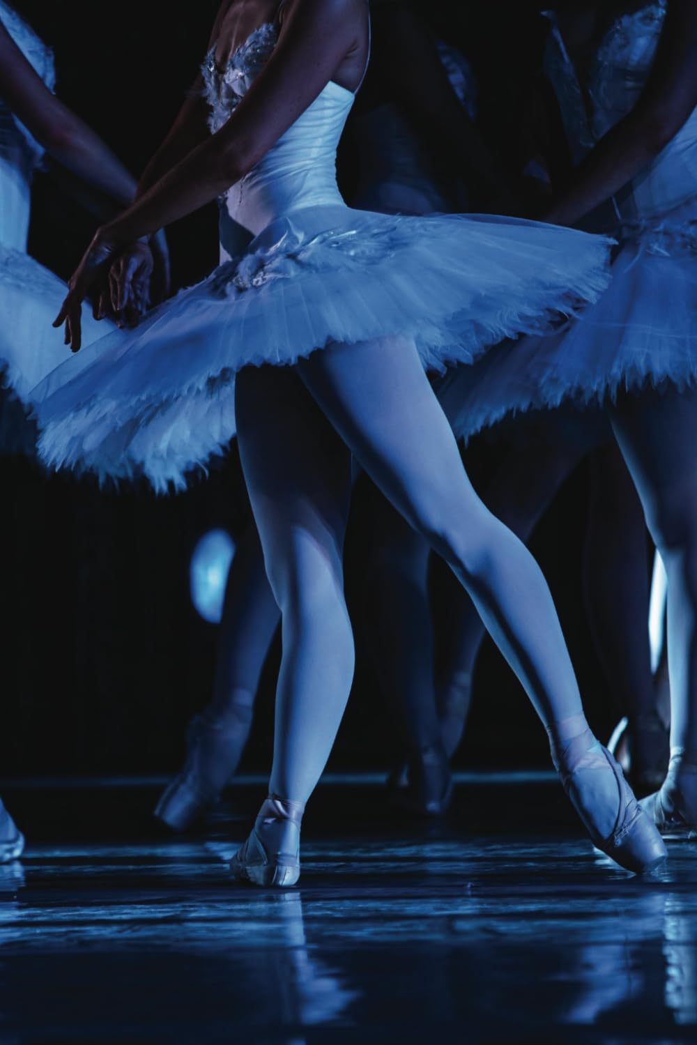 capítulo por capítulo baixar Ballet Notebook: A Journal for Dancers to Capture Ideas, Goals, and Dance Performance Reflections