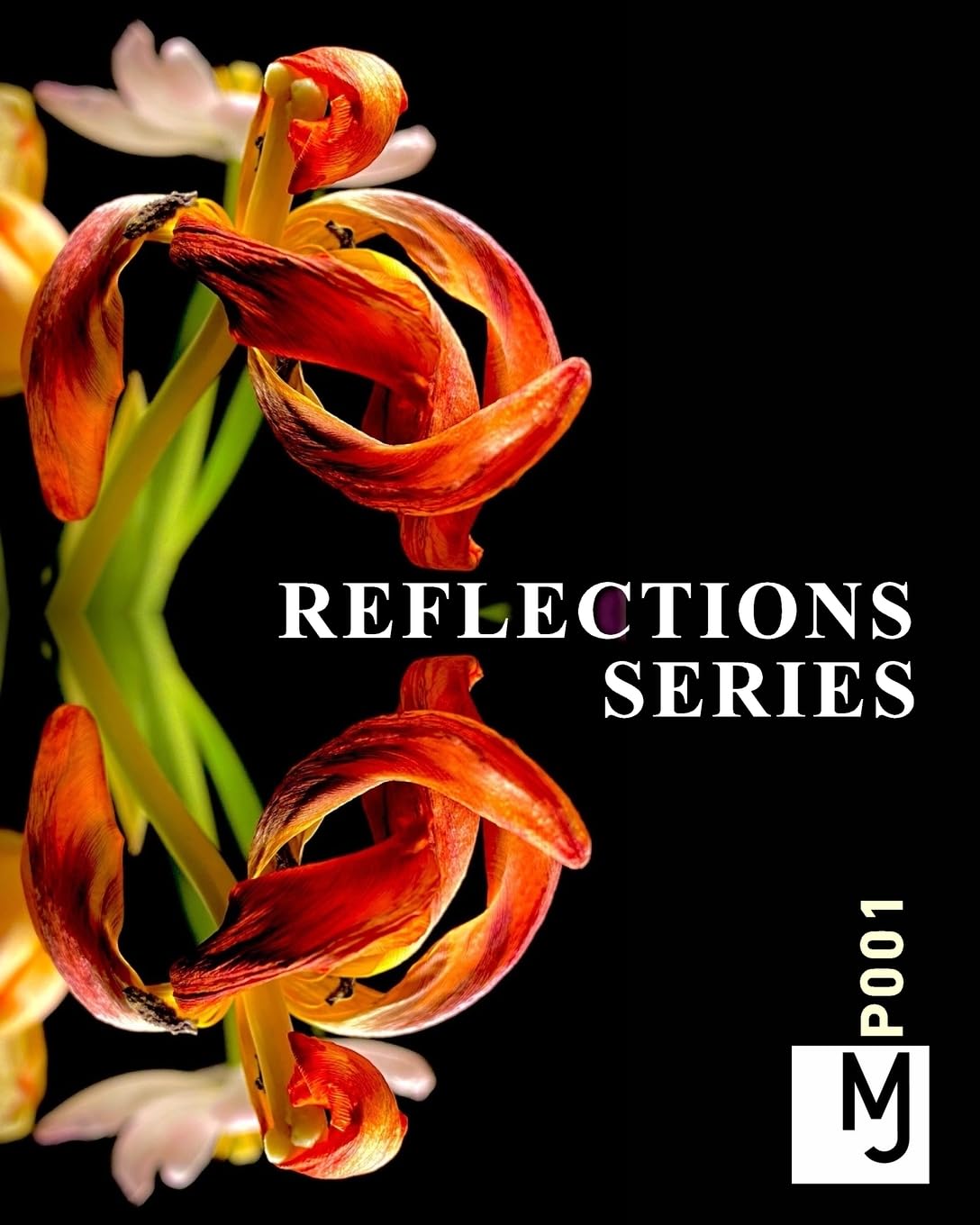 Reflections + Series: Potographic baixar o livro de graça