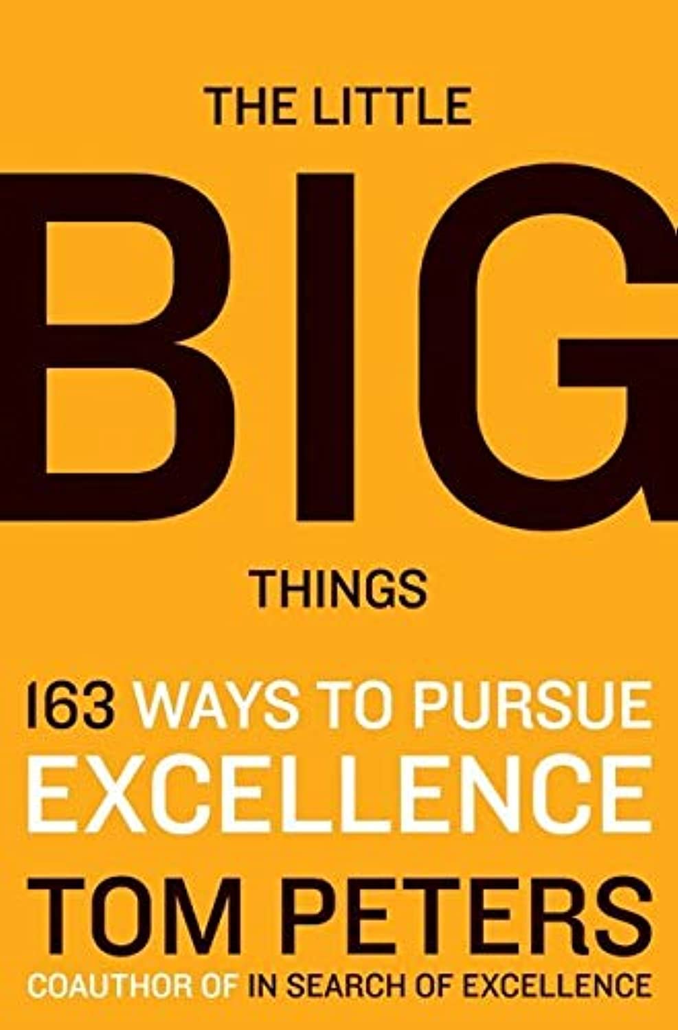 The Little Big Things: 163 Ways to Pursue EXCELLENCE baixar o livro de graça