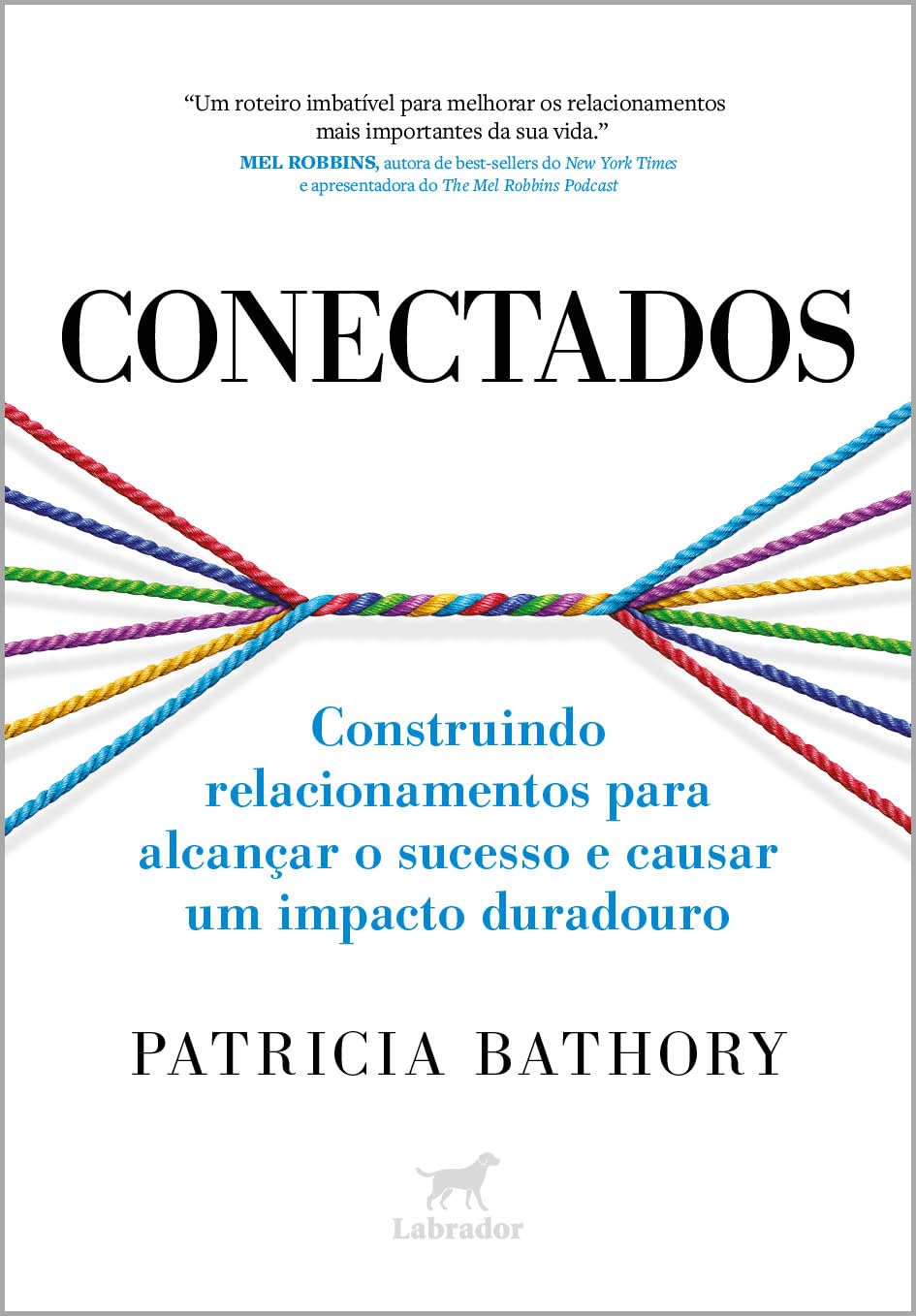 capítulo por capítulo baixar Conectados: Construindo relacionamentos para alcançar o sucesso e causar um impacto duradouro