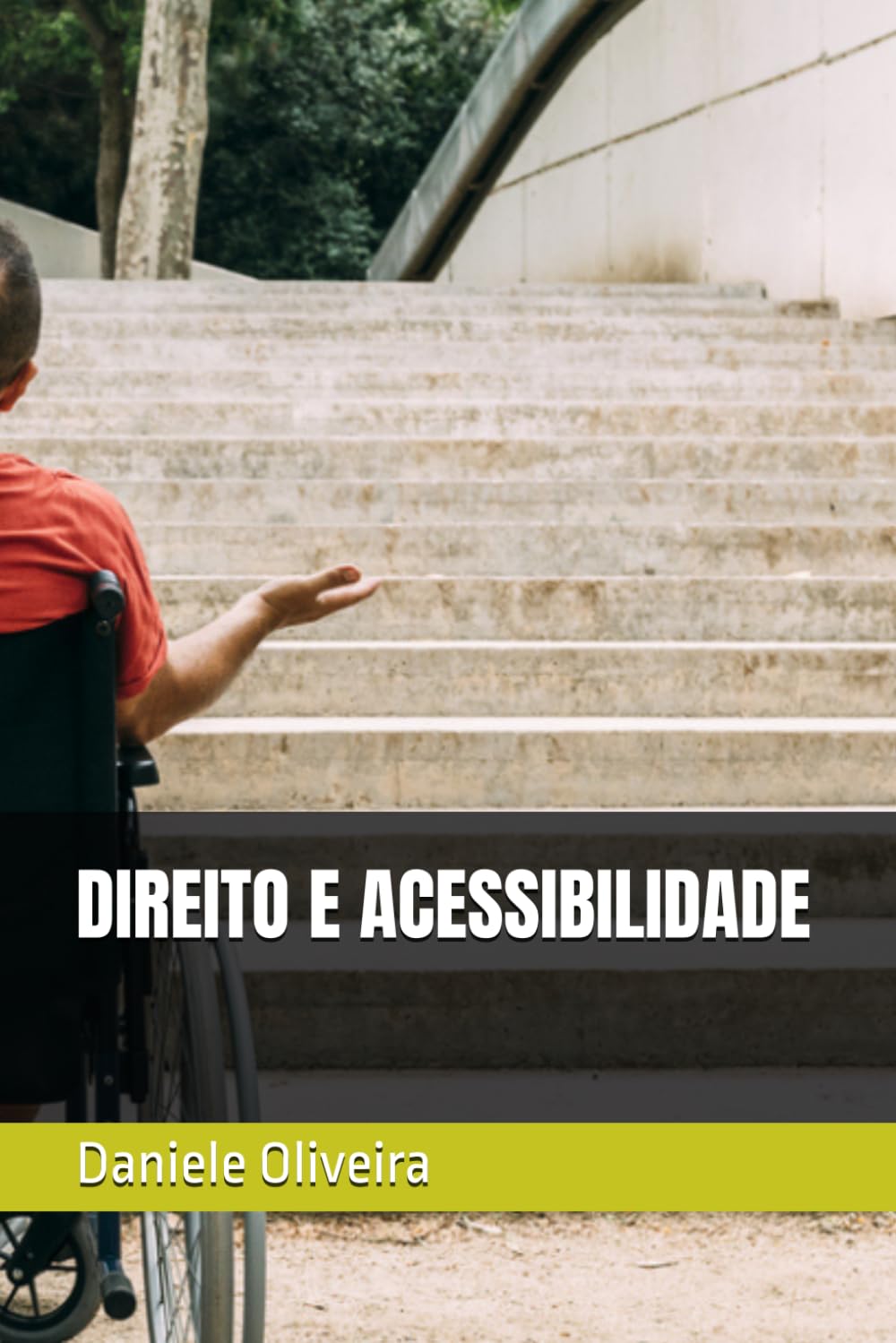 DIREITO E ACESSIBILIDADE (Portuguese Edition) baixar livro de graça