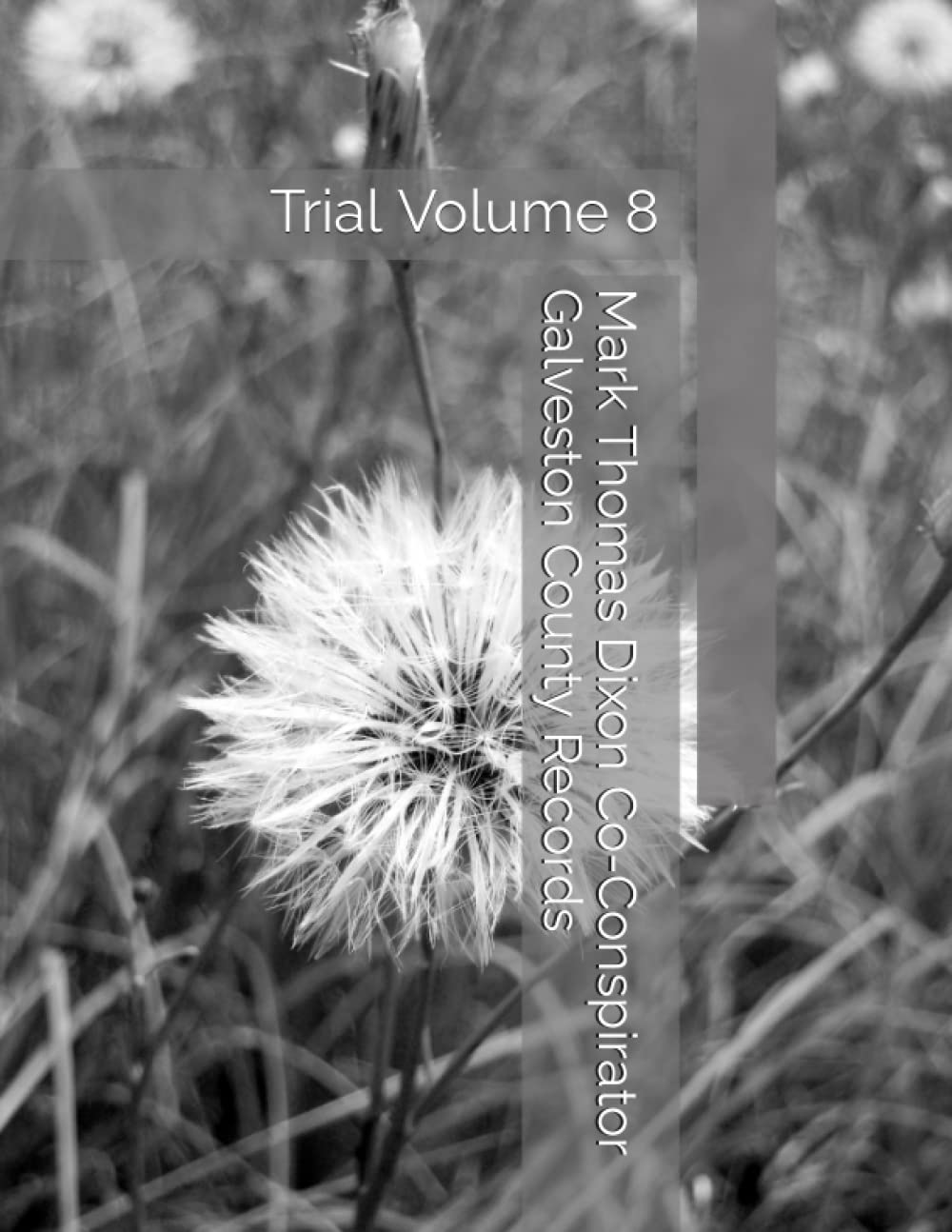 capítulo por capítulo baixar Mark Thomas Dixon Co-Conspirator Galveston County Records: Trial Volume 8 (Barbara Holder Trial Records)