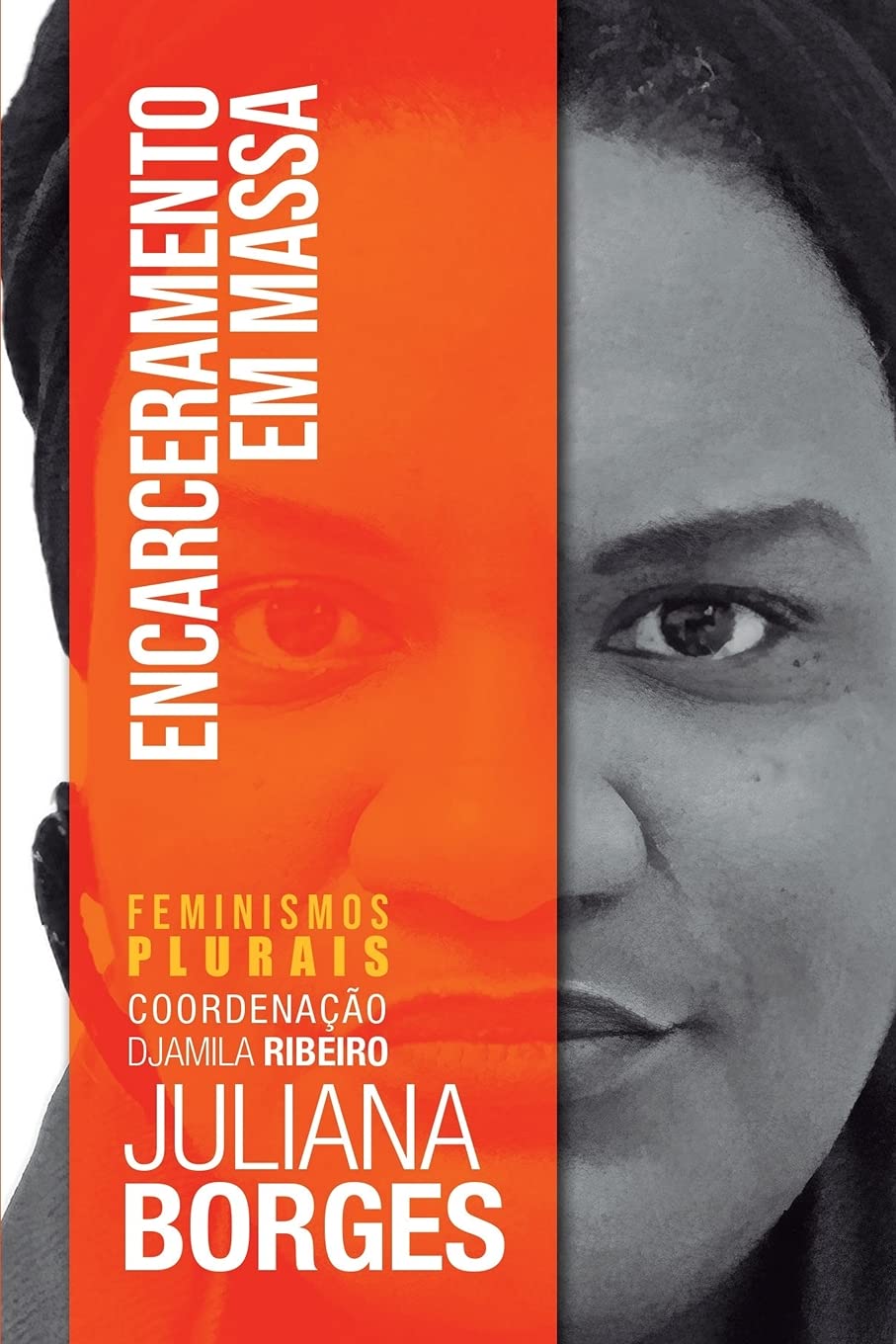 Encarceramento em Massa baixar livro de graça