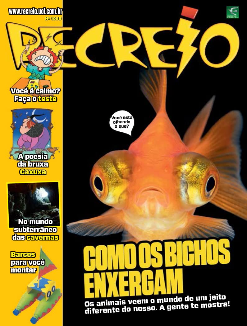 Revista Recreio - 25/04/2023