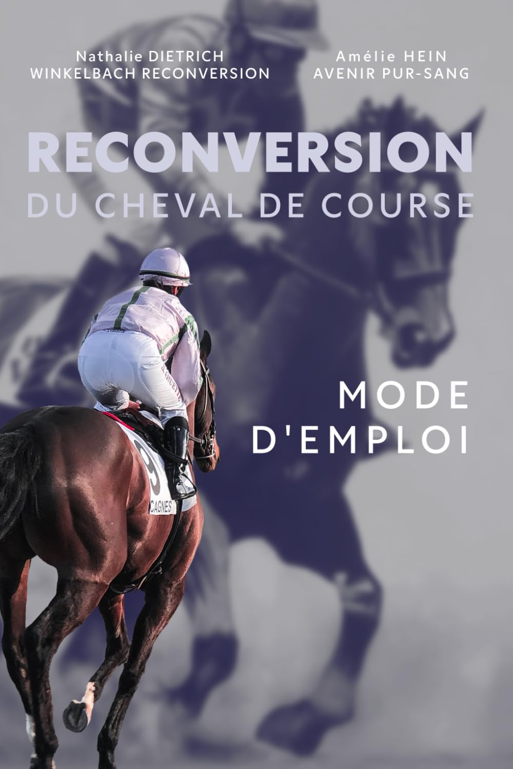 capítulo por capítulo baixar RECONVERSION DU CHEVAL DE COURSE: MODE D'EMPLOI