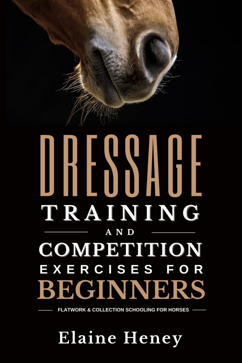 Dressage training and competition exercises for beginners - Flatwork & collection schooling for horses baixar o livro de graça