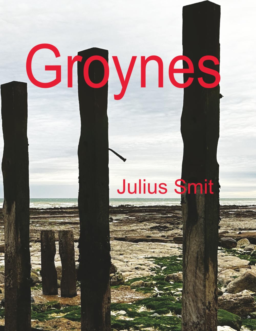 Groynes: A zine of shapes, textures and decay baixar o livro de graça