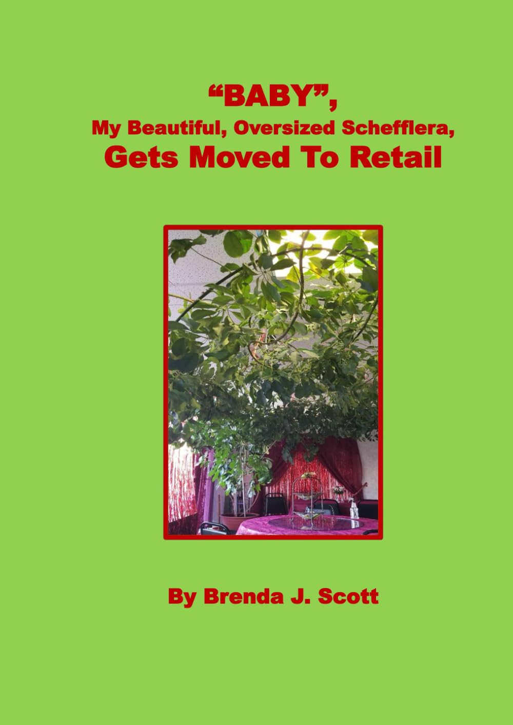 "Baby" My Beautiful, Oversized Schefflera Gets Moved To Retail baixar o livro de graça