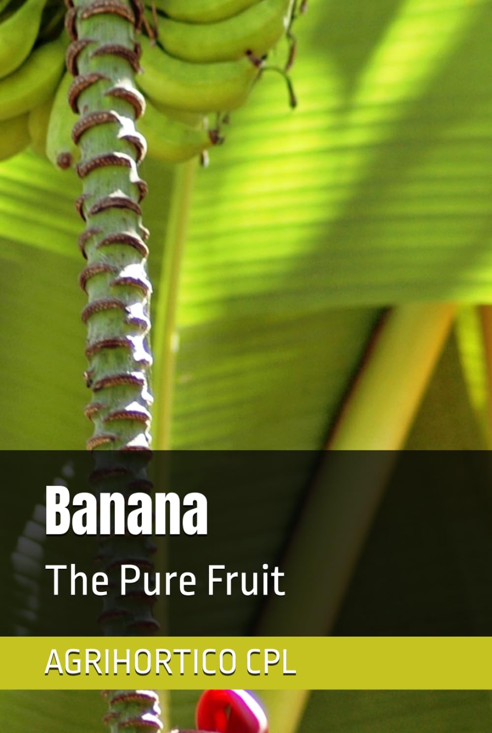 ler totalmente Banana: The Pure Fruit (All About Fruits and Nuts)