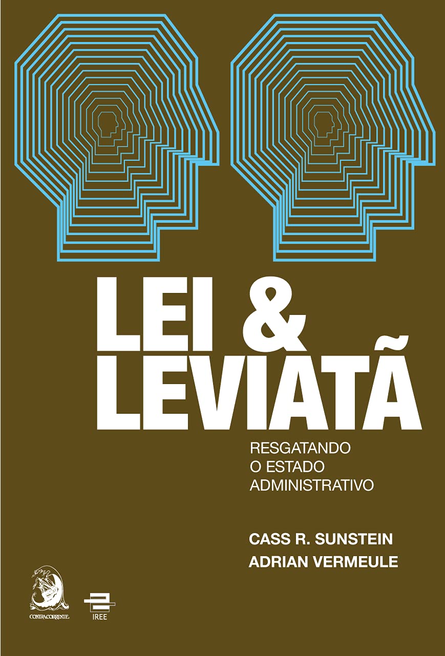 Lei e Leviatã: Resgatando o Estado Administrativo baixar livro de graça