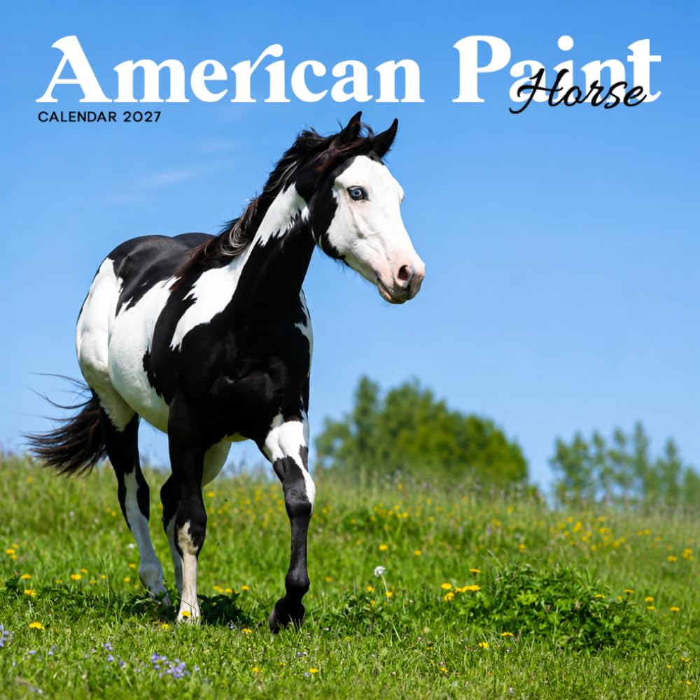 American Paint Horse Calendar 2027: Horse Portraits and Pasture Scenes