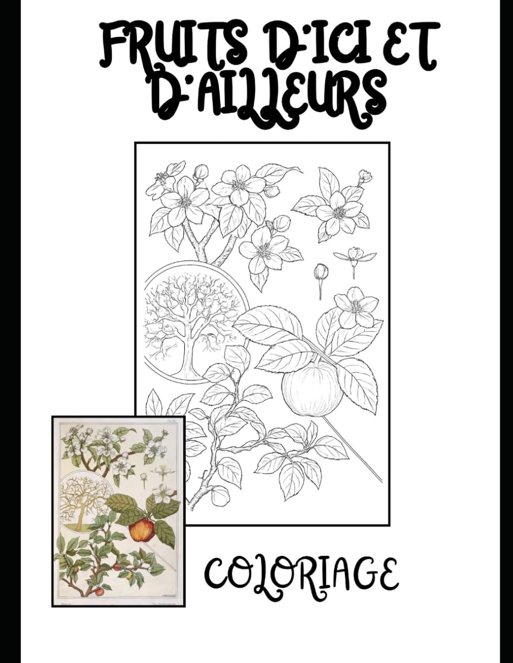 Fruits d'ici et d'ailleurs: coloriage (French Edition) baixar livro de graça