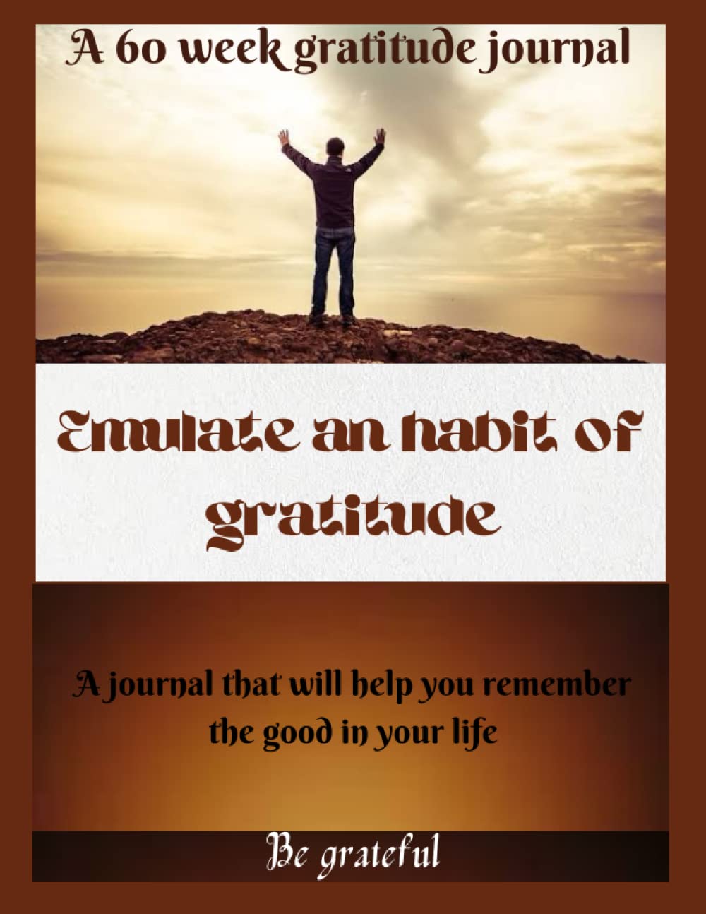 ler totalmente A 60 week gratitude journal
