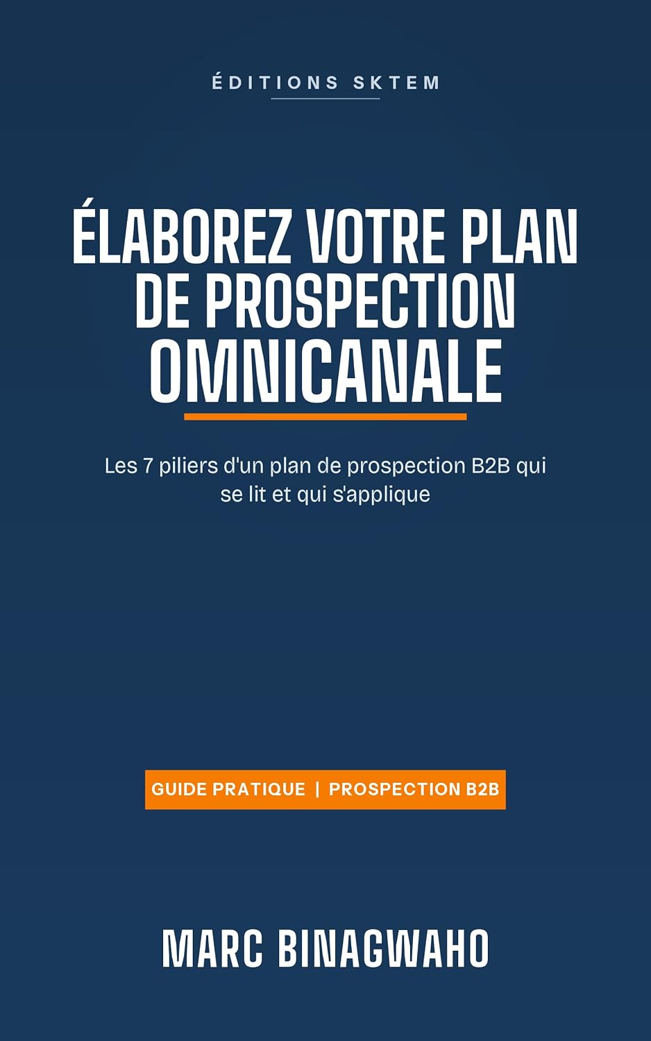 Élaborez votre plan de prospection Omnicanale: Les 7 piliers d'un plan de prospection B2B qui se lit et s'applique (French Edition) baixar o livro de graça
