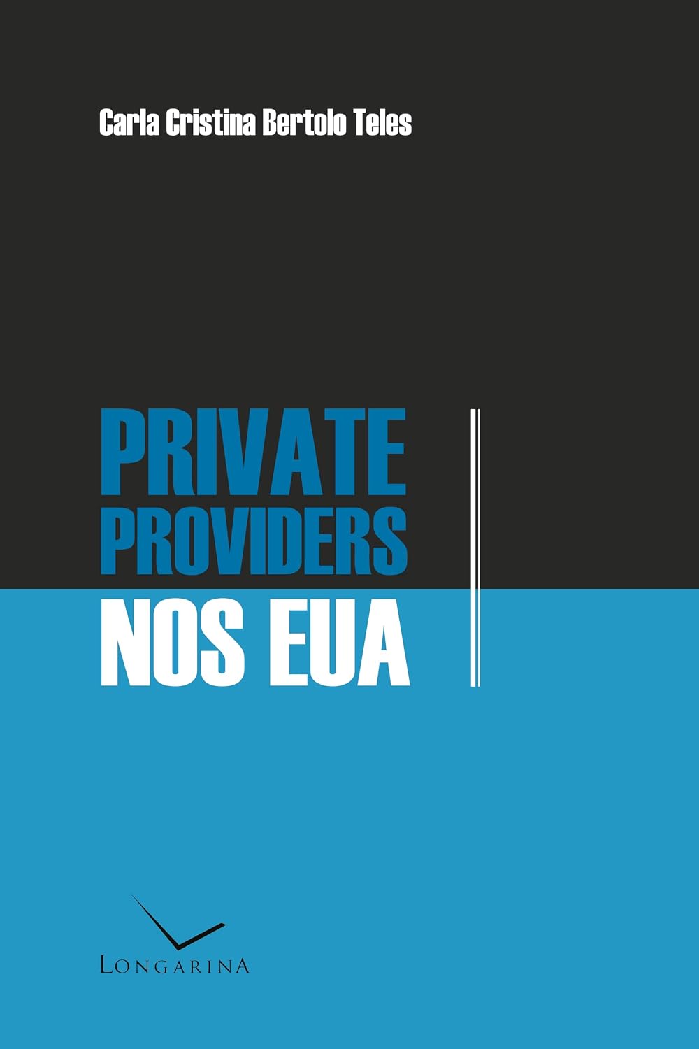 Private Providers nos EUA baixar livro de graça