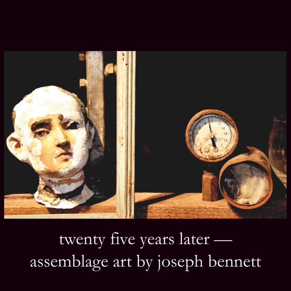 ler totalmente twenty years later: assemblage art by joseph bennett