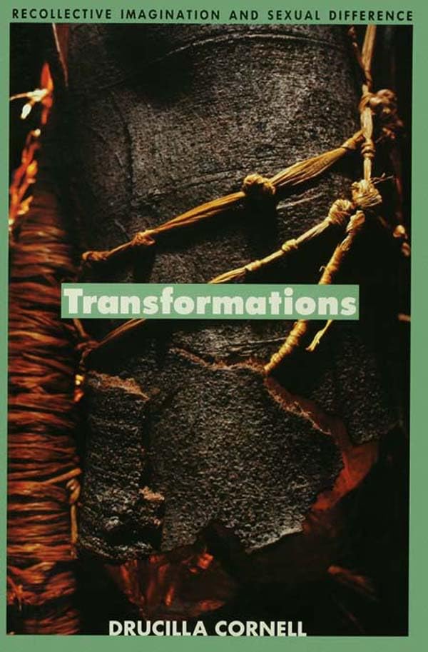 Transformations: Recollective Imagination and Sexual Difference (English Edition) baixar o livro de graça