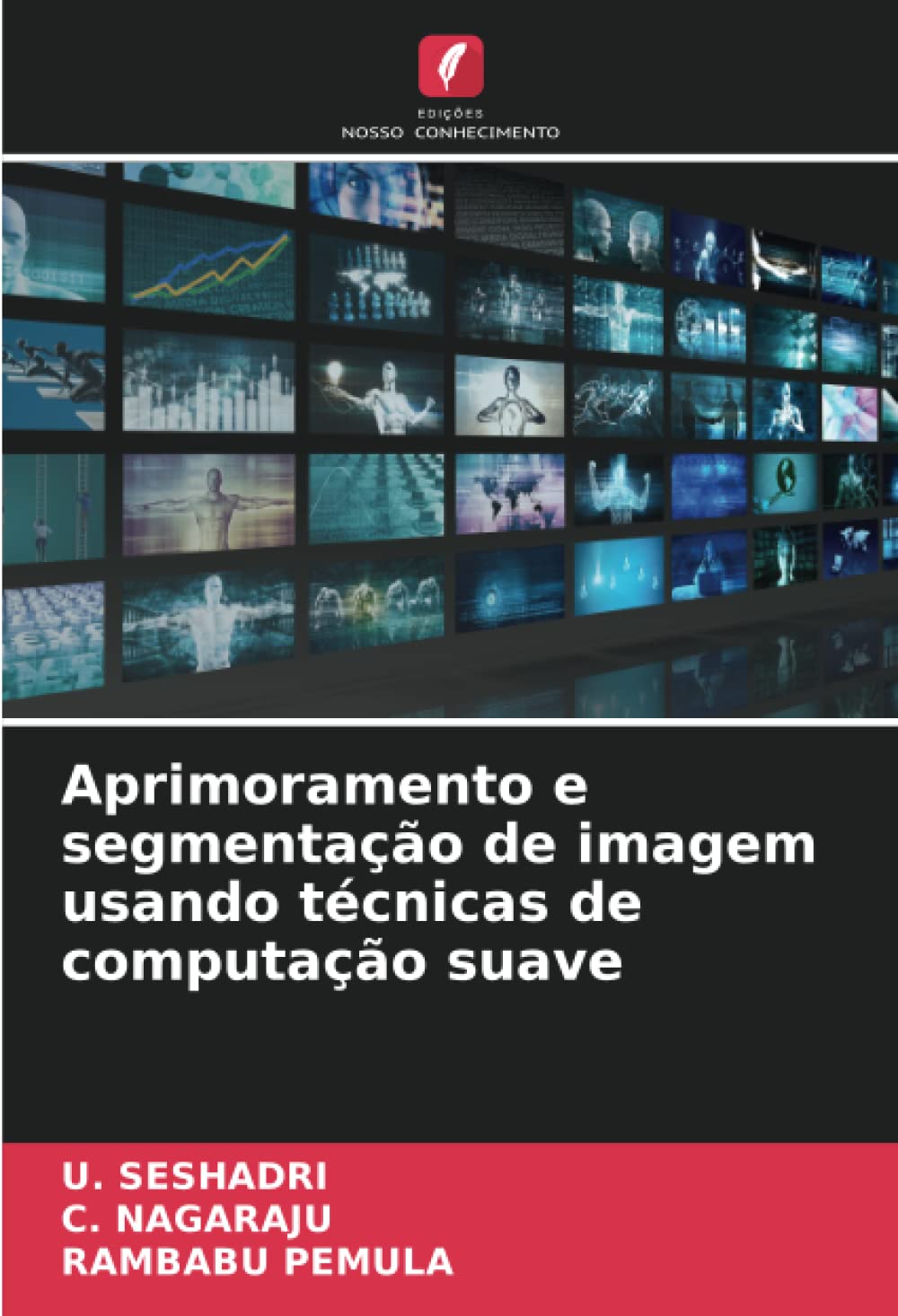 Aprimoramento e segmentação de imagem usando técnicas de computação suave baixar o livro de graça