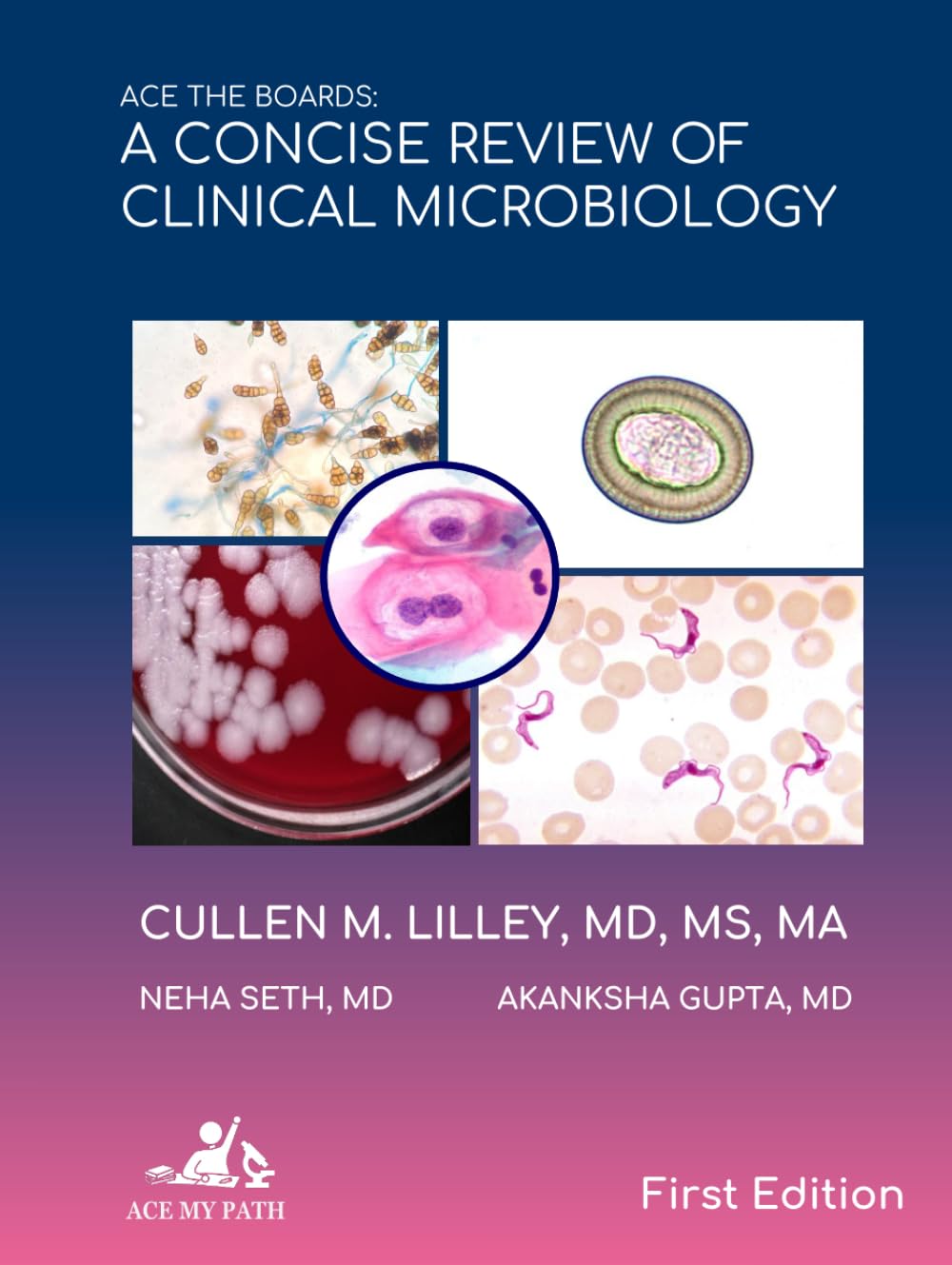 ler totalmente Ace The Boards: A Concise Review of Clinical Microbiology (Ace My Path)