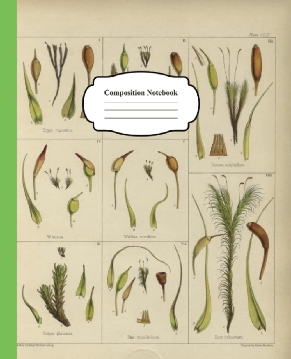 Composition Notebook College Ruled 120 Pages: Vintage Illustration of Plants Flowers| Aesthetic Cute For Plant lover Journal baixar livro de graça
