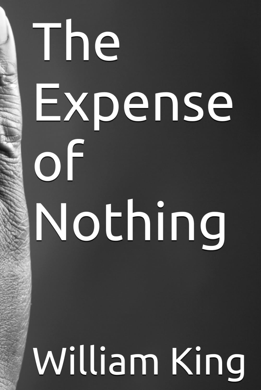 ler totalmente The Expense of Nothing