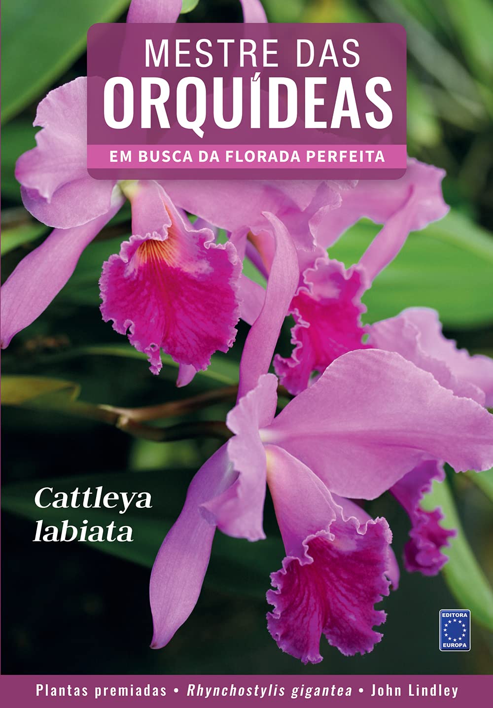 Mestre das Orquídeas - Volume 1: Cattleya labiata baixar o livro de graça