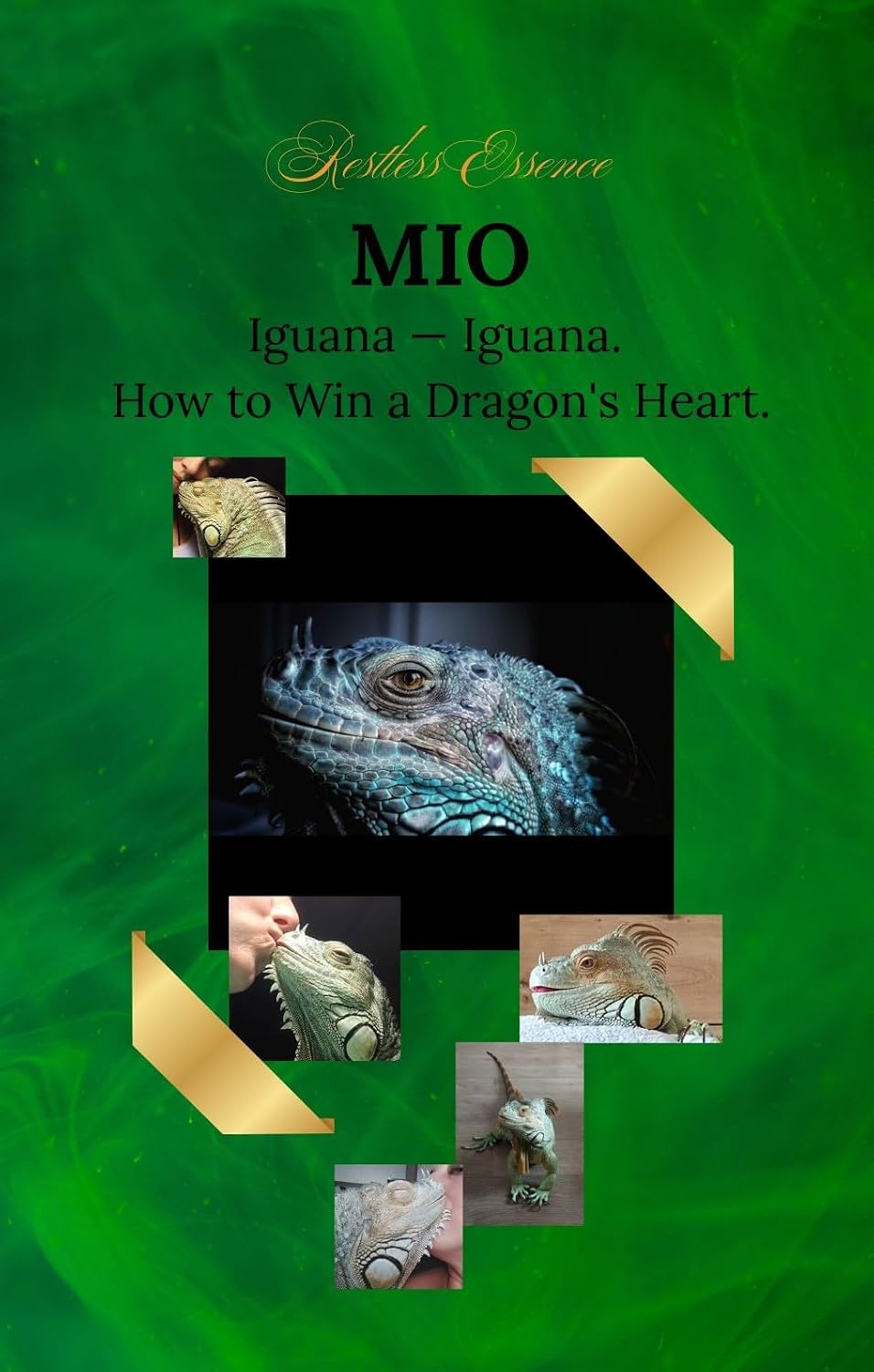 MIO: Iguana. How to Win a Dragon's Heart. (English Edition) baixar livro de graça