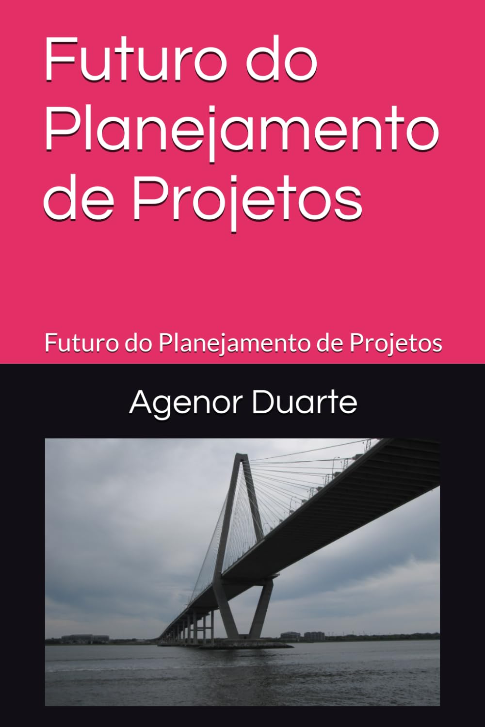 Futuro do Planejamento de Projetos: Futuro do Planejamento de Projetos (Portuguese Edition) baixar o livro de graça