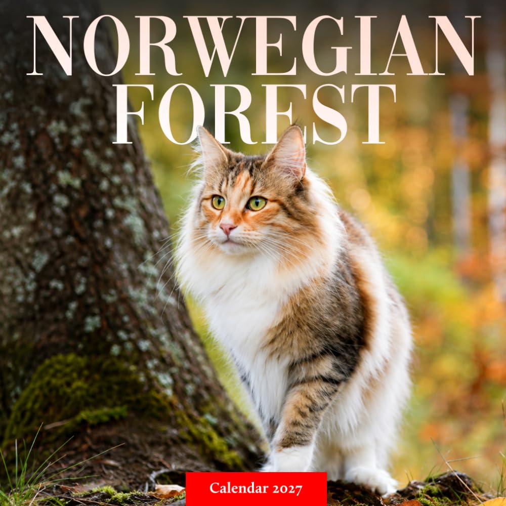 Norwegian Forest Cat Calendar 2027: Longhaired Cat Photography baixar o livro de graça
