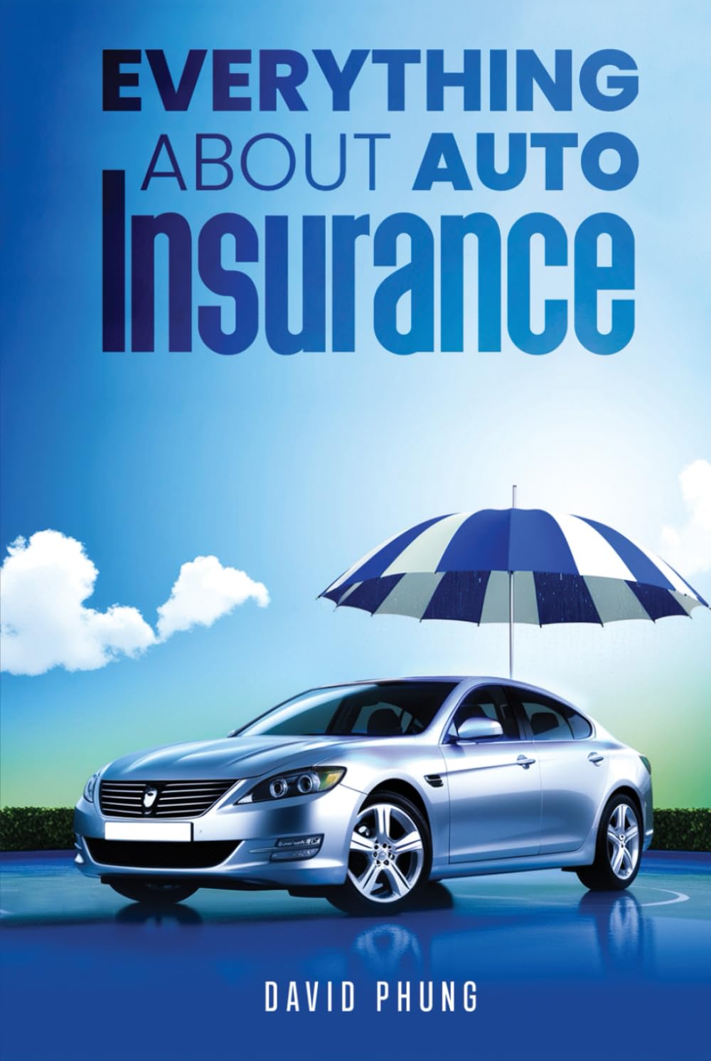 Everthing About Auto Insurance baixar livro de graça