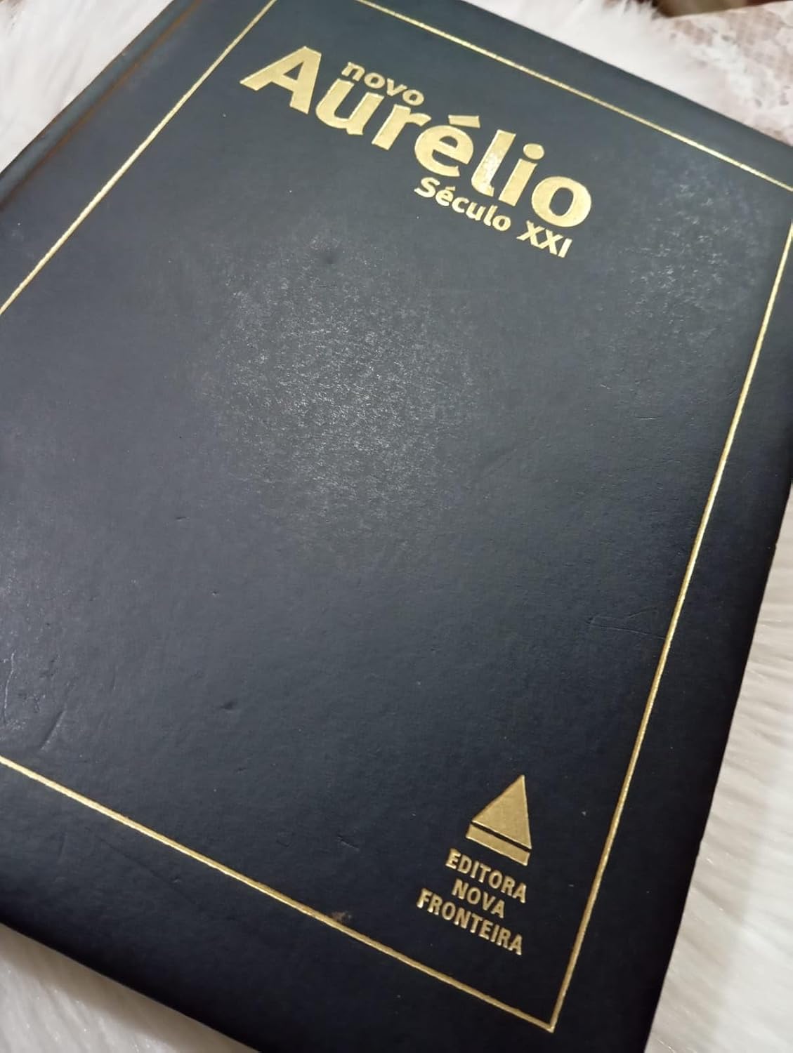 ler totalmente Novo Aurelio Seculo Xxi - O Dicionario Da Lingua Portuguesa
