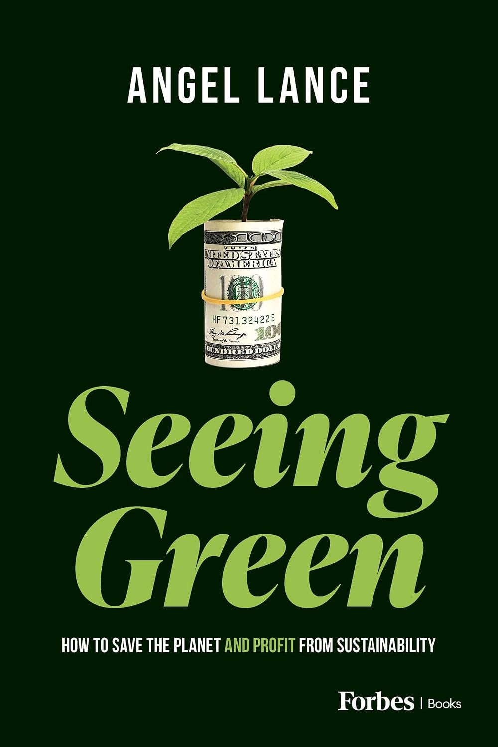 Seeing Green: How to Save the Planet and Profit from Sustainability (English Edition) baixar o livro de graça