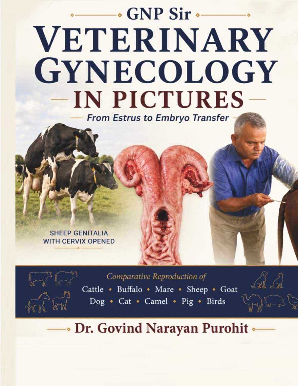 Veterinary Gynecology In Pictures: From Estrus To Embryo Transfer: An Illustrated Guide to Female Anatomy, Estrus, Fertility, Reproductive Physiology, Reproductive Disorders, and Embryo Transfer baixar o livro de graça