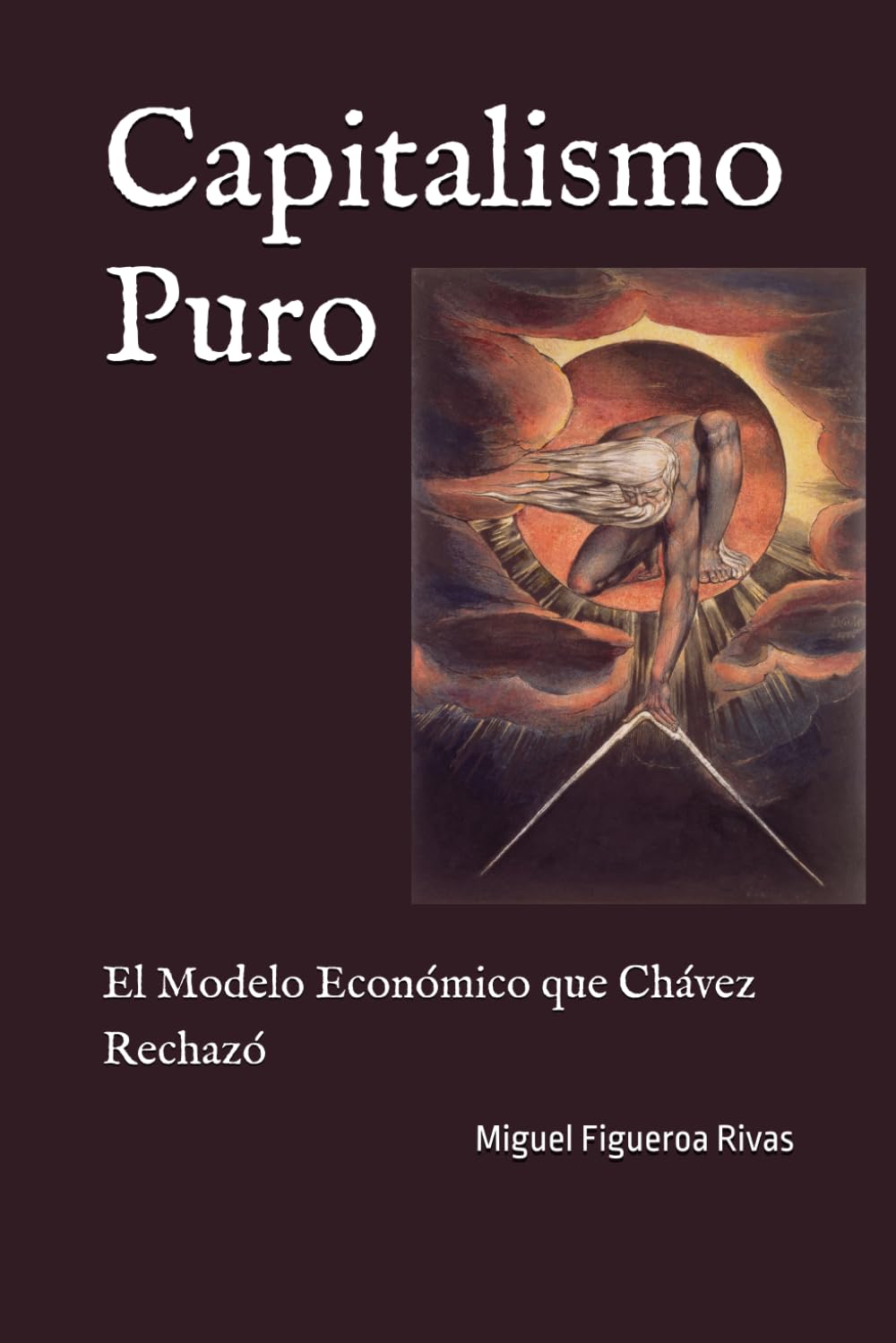 Capitalismo Puro: El Modelo Económico que Chávez Rechazó baixar livro de graça